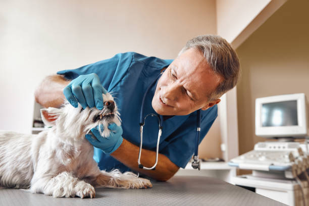 Best Emergency Root Canal Treatment in Clifton, TN